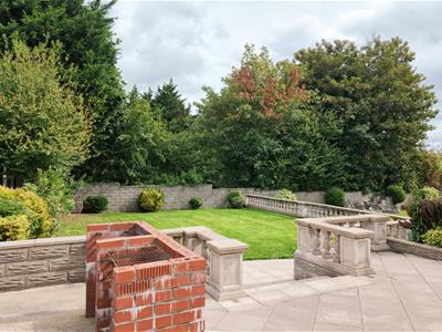 Picture 29